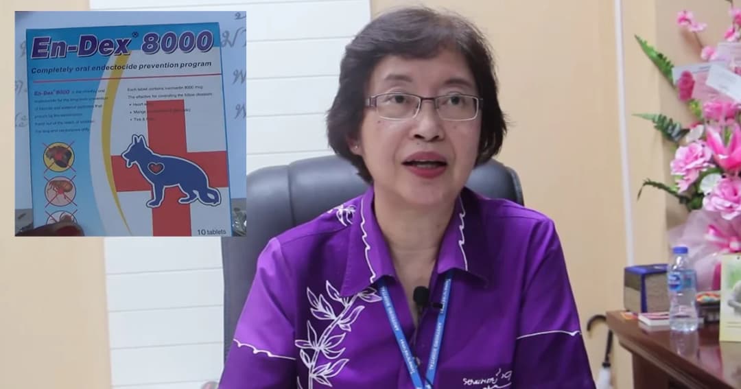 หมอยืนยันยารักษาพยาธิหมาใช้กับคนได้ ญาติยังคาใจตอนไป รพ.อาการไม่หนัก