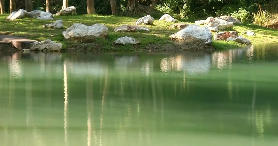 เตรียมเปิดสระน้ำมรกต ถ้ำหลวงขุนน้ำนางนอน 15 พ.ย. นี้