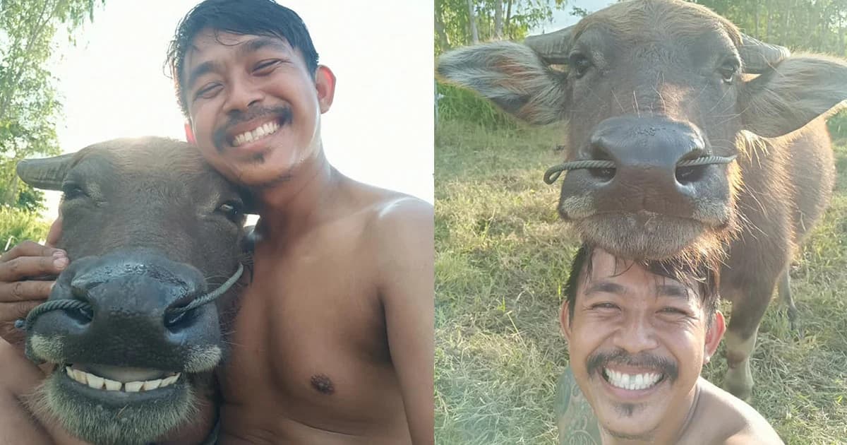 เห็นแล้วยิ้ม ! หนุ่มเซลฟี่กับควาย ความสุขเรียบง่ายของคนชายทุ่ง