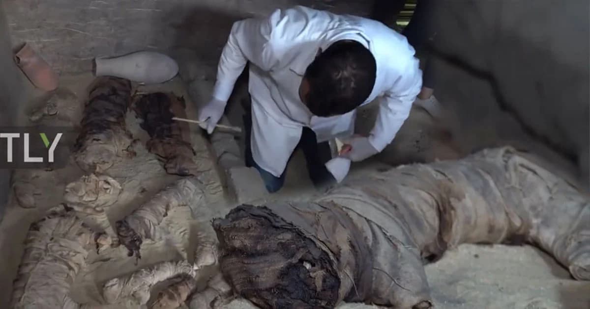 นักโบราณคดีขุดพบ “มัมมี่แมว” บรรจุในโลงศพหินเก่าแก่ อายุ 4,000 ปี