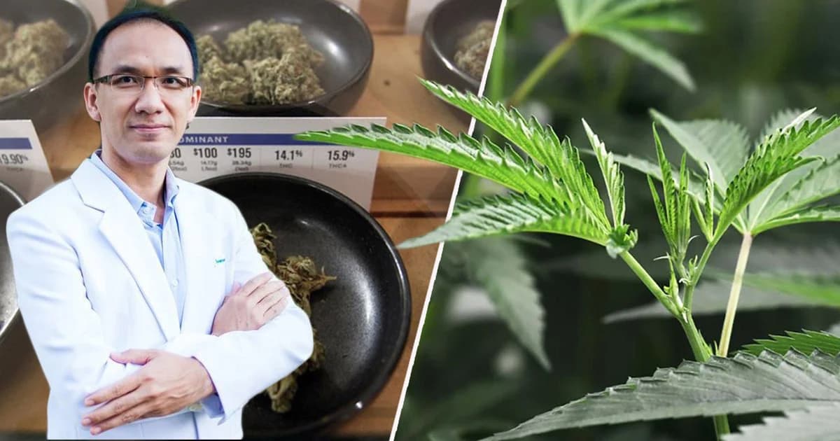 “กัญชา” ในมุมมองของจิตแพทย์