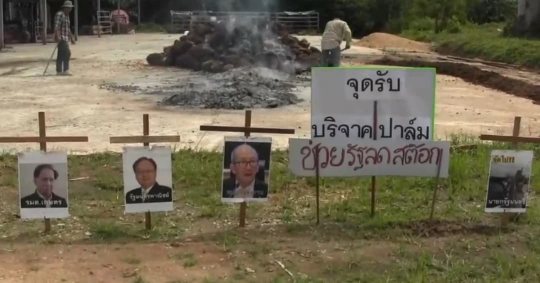 ยุติเผาปาล์มประท้วง ชาวสวนถอดใจประกาศรอเลือกตั้ง