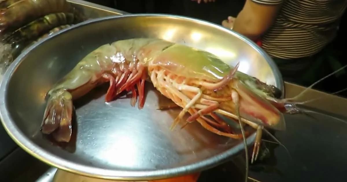 ลุยตรวจร้านซีฟู้ดโต้รุ่งหัวหิน หลังนักเขียนซีไรต์โพสต์กุ้งตัวพัน!