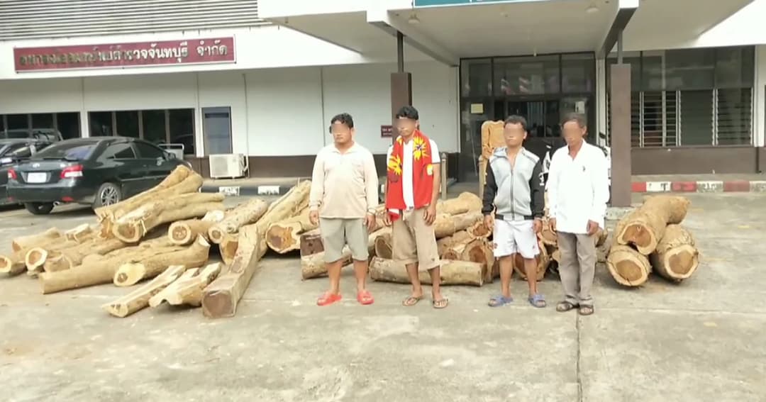 ยึดไม้พะยูงมูลค่านับล้าน ซุกสวนยางจันทบุรี รวบ 4 แรงงานต่างด้าว