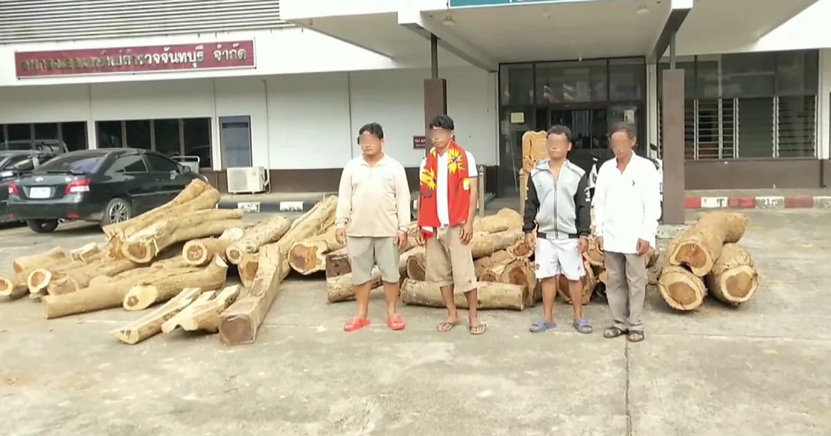 ยึดไม้พะยูงมูลค่านับล้าน ซุกสวนยางจันทบุรี รวบ 4 แรงงานต่างด้าว