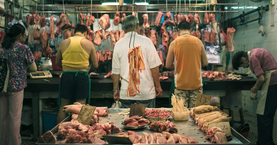 “ไข้หวัดหมู” ระบาด ไต้หวันระงับการนำเข้าหมูจากญี่ปุ่น-จีน