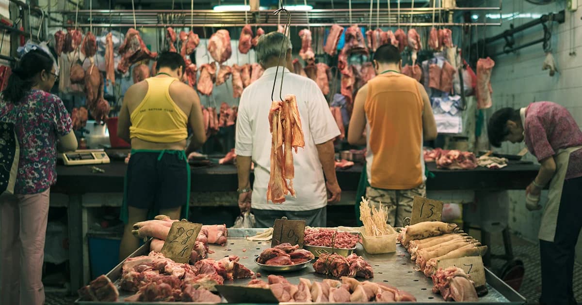 “ไข้หวัดหมู” ระบาด ไต้หวันระงับการนำเข้าหมูจากญี่ปุ่น-จีน