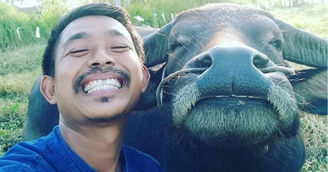 ฝันใกล้เป็นจริง ! หนุ่มรับบริจาคไถ่ “ควายยิ้ม” เผย มียอดกว่า 6.2 หมื่นบาทแล้ว