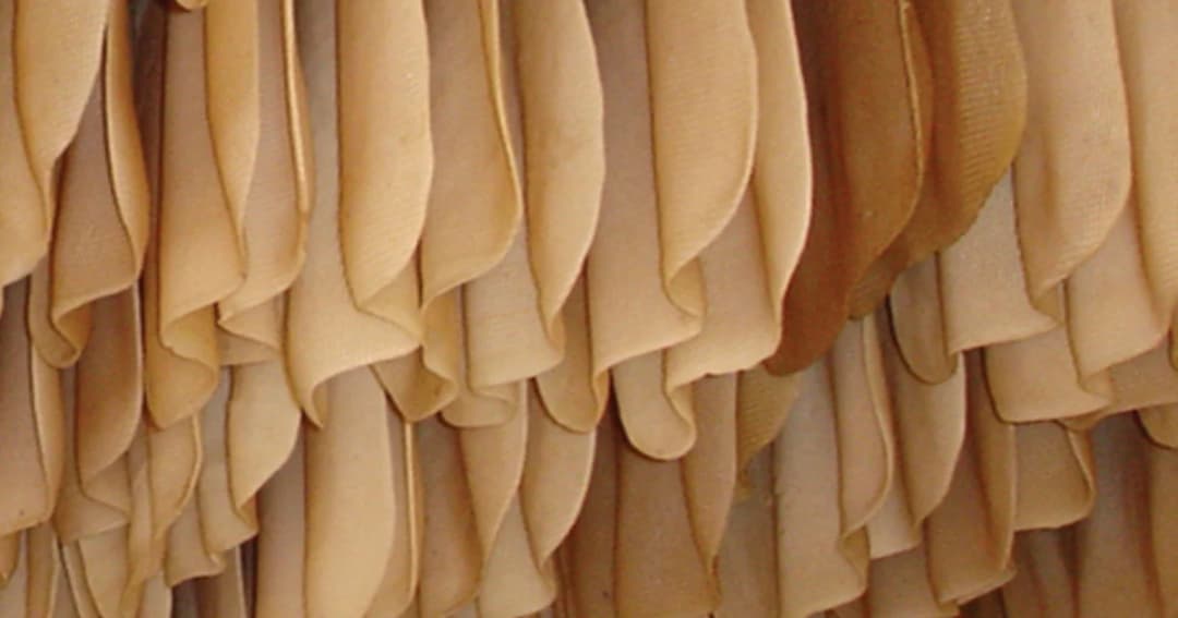 นายกฯ สั่งช่วยเหลือชาวสวนยางใน 7 วัน เทงบฯ 1.8 หมื่นล้าน รับซื้อปาล์ม 1.6 แสนตัน