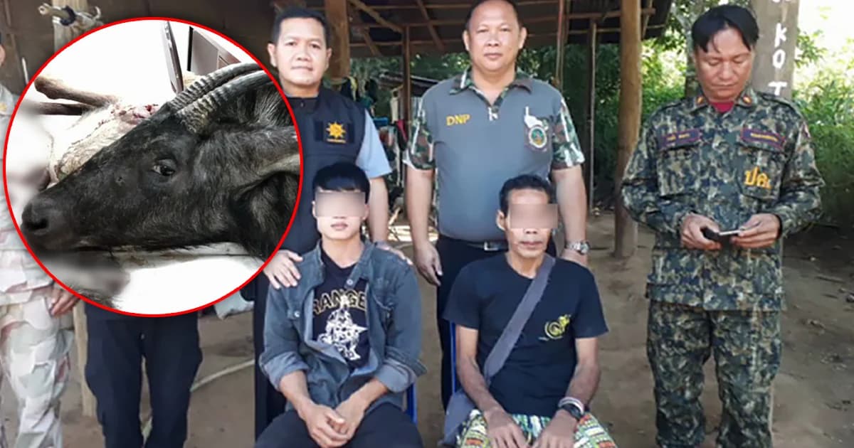 มอบตัวแล้ว! 2 พรานป่า ฆ่าชำแหละเลียงผา ในป่าแก่งกระจาน