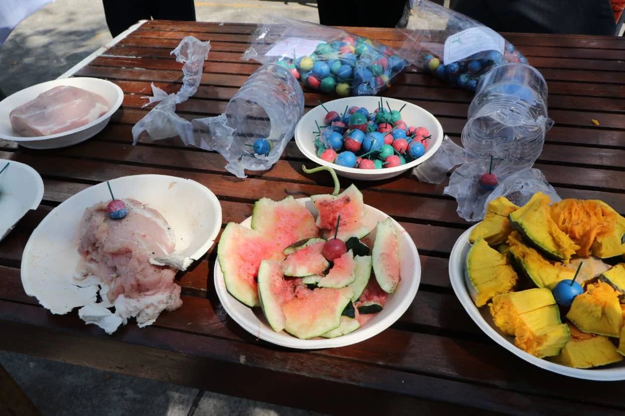 ‘ประทัดลูกบอล’ อันตรายถึงชีวิต