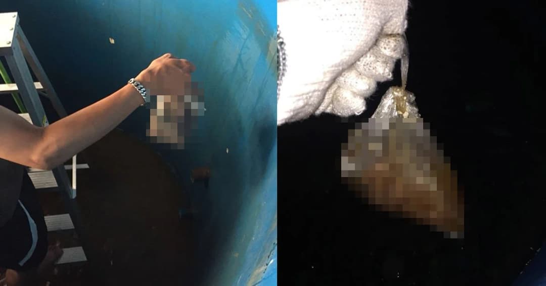 คอนโดสยอง “ถุงอุจจาระแช่แท็งก์น้ำ” นานนับเดือน