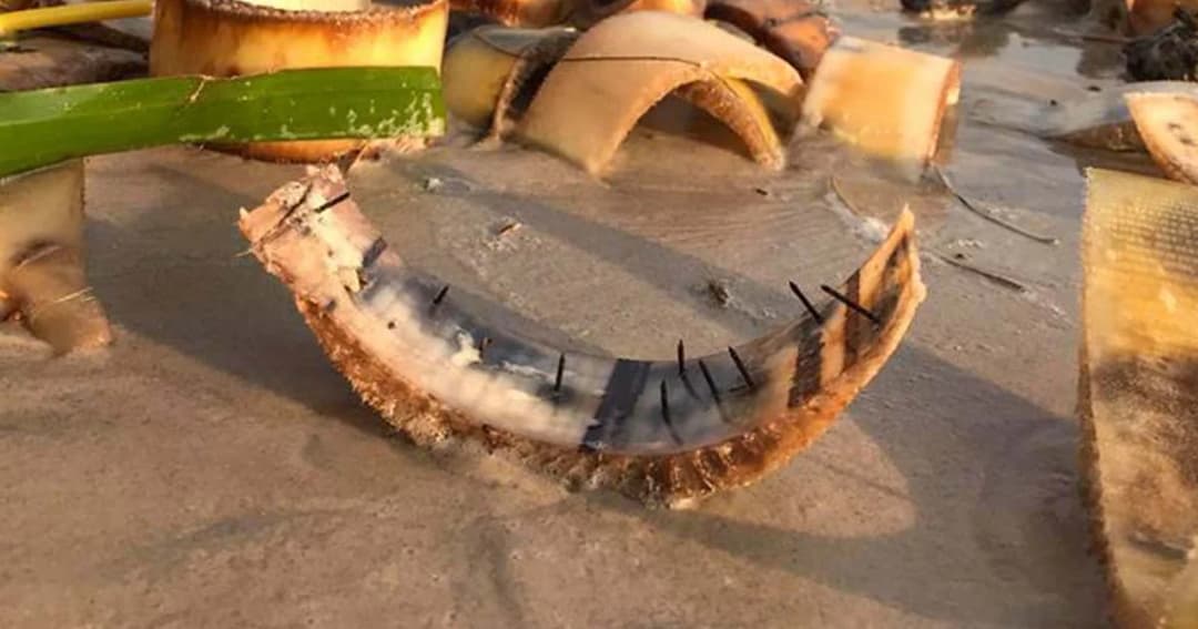 ควันหลงลอยกระทง ตะปูเกลื่อนชายหาด