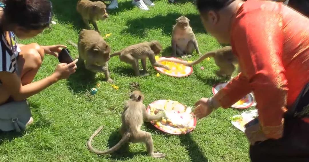 ลพบุรี จัดโต๊ะจีนเลี้ยงเจ้าจ๋อกลางเมือง ครั้งที่ 30