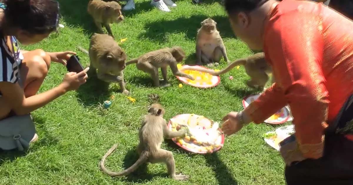 ลพบุรี จัดโต๊ะจีนเลี้ยงเจ้าจ๋อกลางเมือง ครั้งที่ 30