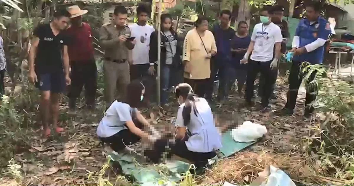 หนุ่มใหญ่รับจ้างตัดต้นไม้ ถูกต่อหัวเสือรุมต่อย ตกต้นยางนา ดับสยอง