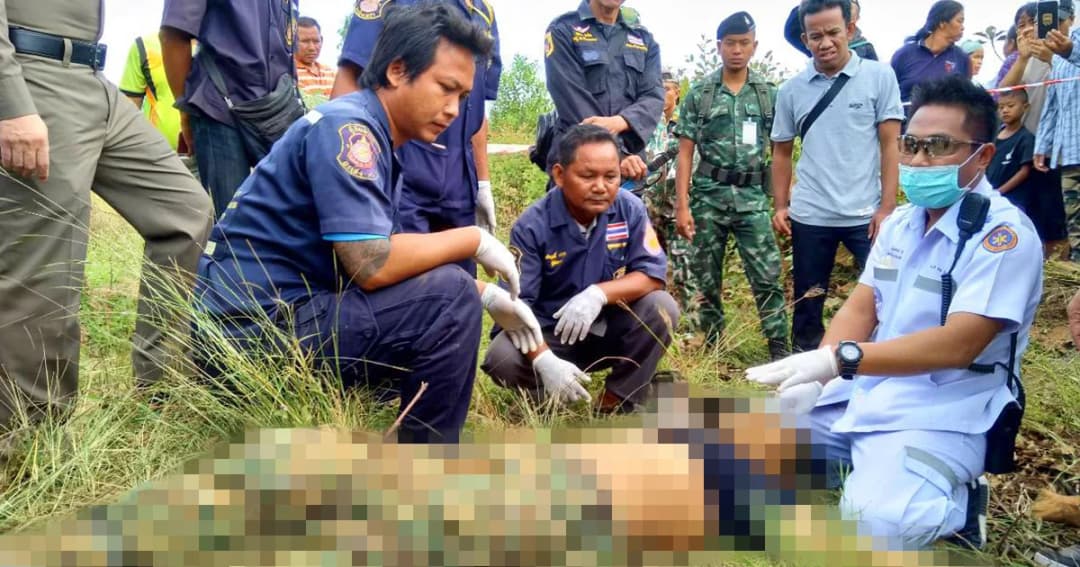 ช้างป่าเขาอ่างฤาไน ไล่เหยียบ จนท.เขตรักษาพันธุ์สัตว์ป่าฯ ดับคาไร่มัน