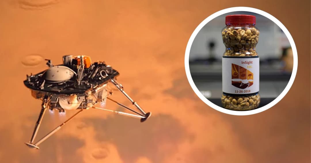 ทำไมต้องมี “ถั่วลิสง” ในห้องปฏิบัติการนาซ่า ช่วงภารกิจสำคัญ ?