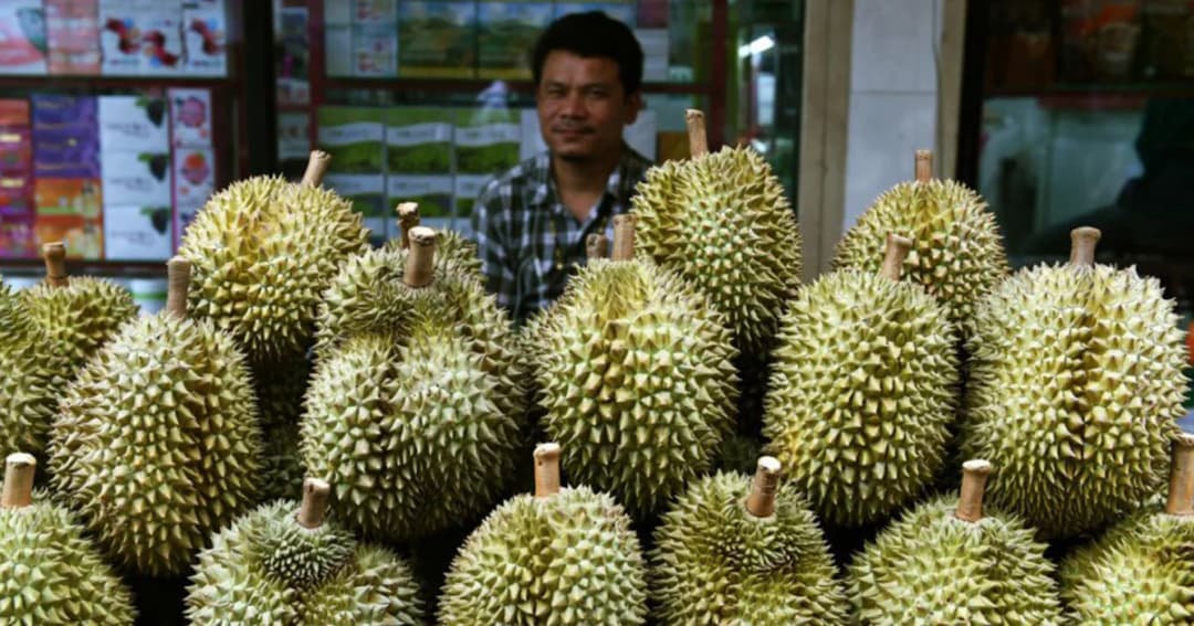 รัฐบาลมาเลเซียเร่งปลูกทุเรียน หวังเป็นผู้นำอาเซียนส่งออกจีน