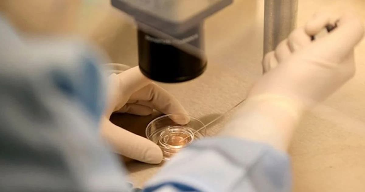 จีนสั่งสอบนักวิจัยอ้างตัดต่อยีนทารกแฝดสำเร็จ