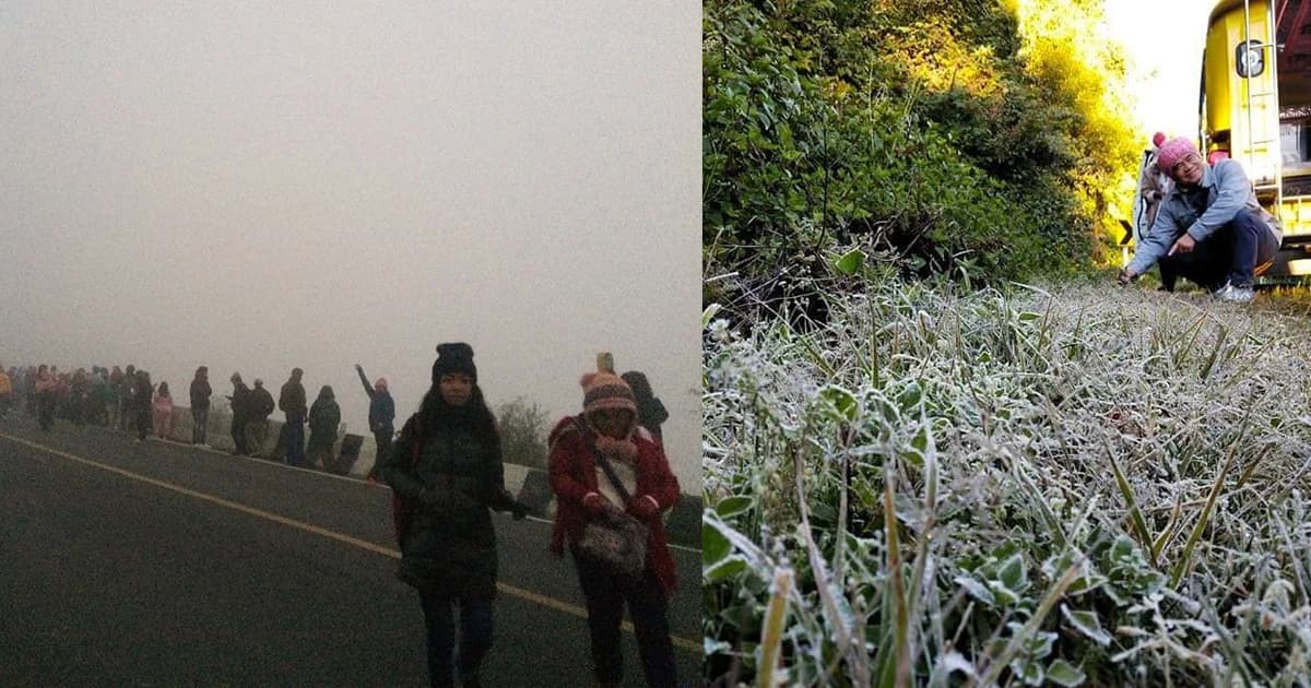 ยะเยือก! ยอดดอยอินทนนท์ยังหนาวจัด เหมยขาบอวดโฉมวันที่สอง อุตุเตือนใต้ฝนตก 60-70%