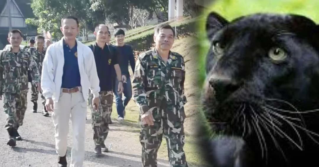 สืบพยานโจทก์ชุดจับกุม “เปรมชัย” วันที่ 3 หน.วิเชียรคอยให้กำลังใจ