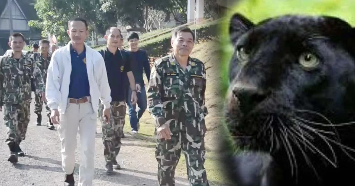 สืบพยานโจทก์ชุดจับกุม “เปรมชัย” วันที่ 3 หน.วิเชียรคอยให้กำลังใจ