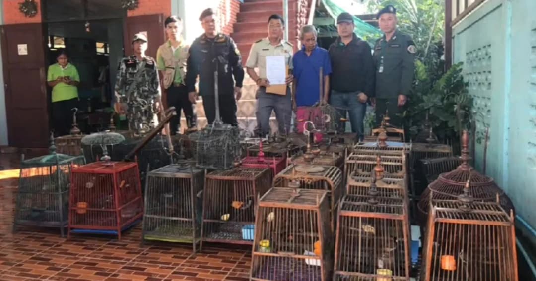 ตร.บุกจับชายวัย 61 หลังแอบเพาะเลี้ยงนกกรงหัวจุก