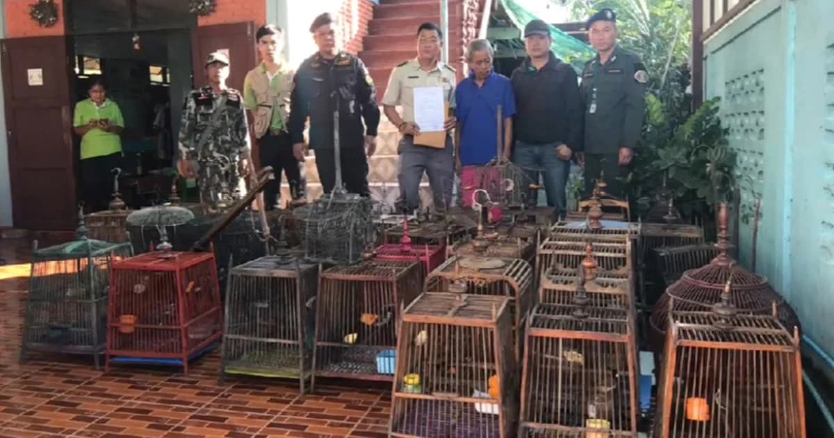 ตร.บุกจับชายวัย 61 หลังแอบเพาะเลี้ยงนกกรงหัวจุก