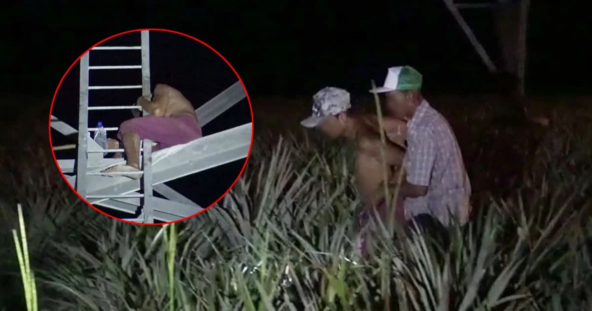 ยอมลงโดยดี ! หนุ่มคลั่งปีนเสาไฟแรงสูง 36 ชม. ครอบครัวเกลี้ยกล่อมสำเร็จ