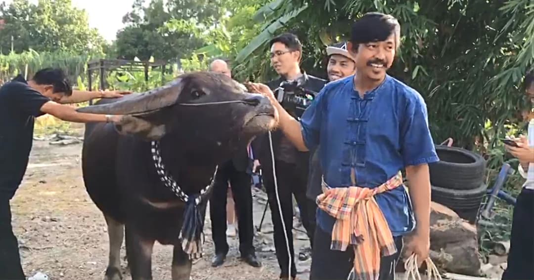 จนท.อนุญาตให้ “คล้าว 2018” นำ “เจ้าทองคำ” ไปดูแลชั่วคราว