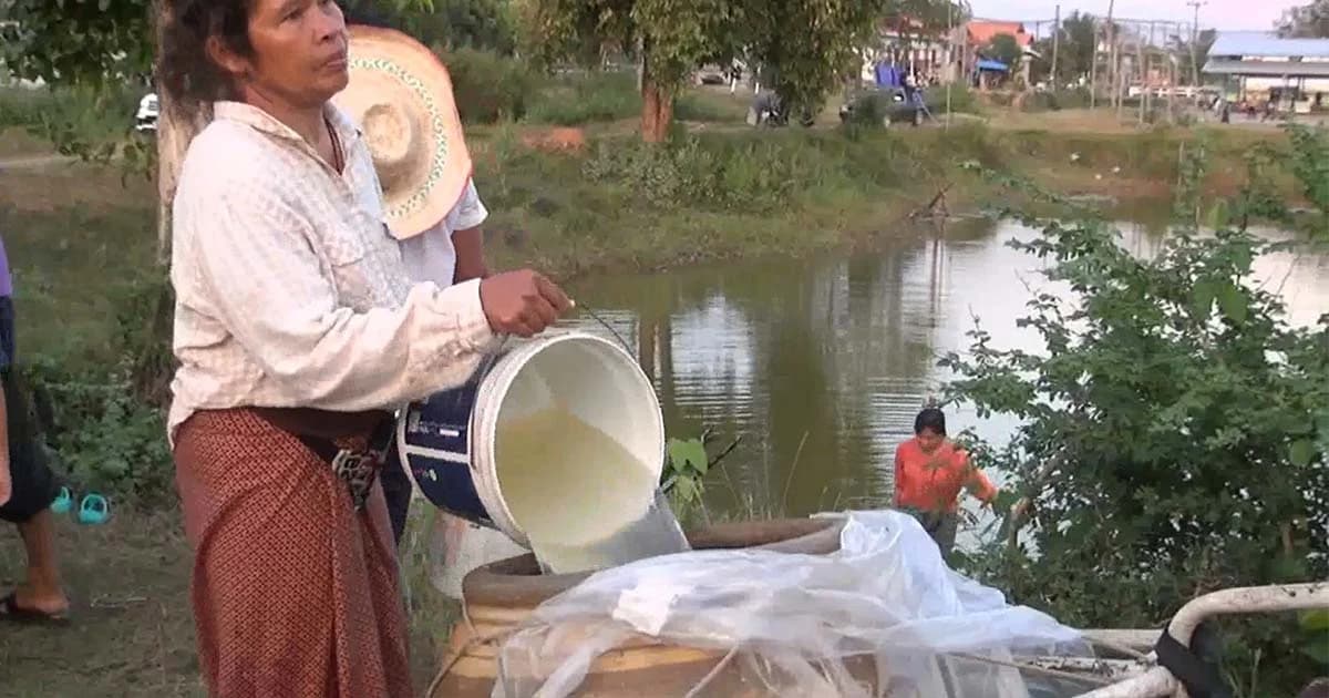 ประปาหมู่บ้านมีปัญหาน้ำไม่ไหลกว่า 4 เดือน ทนใช้น้ำในสระที่มีกลิ่น