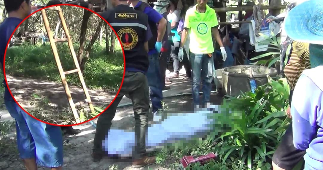 ‘เจ้าของฟาร์มโคนม’ ปีนต้นไม้สูง 10 ม. เก็บดอกสะแล พลัดตกหัวโหม่งพื้นดับคาที่