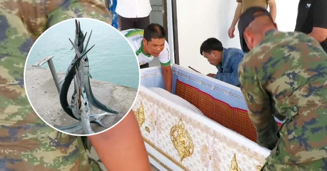 ดร.ธรณ์ เผยทหารเรือถูก “ปลาเต็กเล้ง” พุ่งชนคอเสียชีวิตเป็นรายแรกในไทย