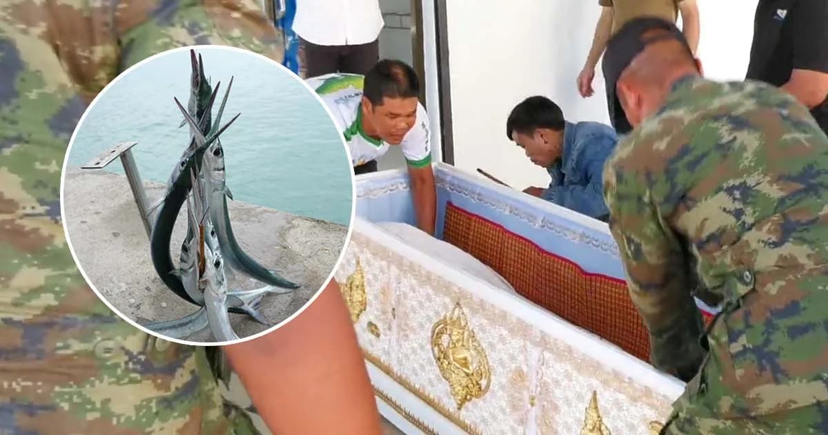 ดร.ธรณ์ เผยทหารเรือถูก “ปลาเต็กเล้ง” พุ่งชนคอเสียชีวิตเป็นรายแรกในไทย