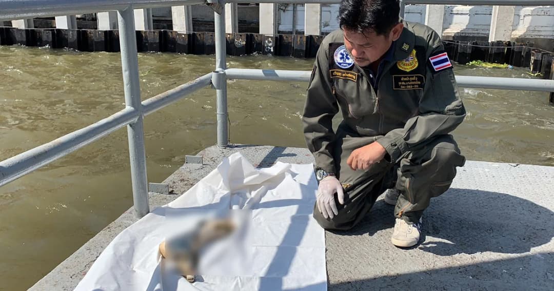 พบชิ้นส่วนมนุษย์ ลอยสยองแม่น้ำเจ้าพระยา บริเวณท่าน้ำหน้าวัดระฆังฯ