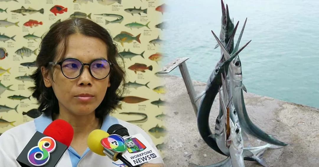 อาลัย “รีคอน” ถูกปลาเต็งเล้งแทงคอ-ประมงตราด ชี้เป็นปลาว่ายน้ำเร็วที่สุดในโลก