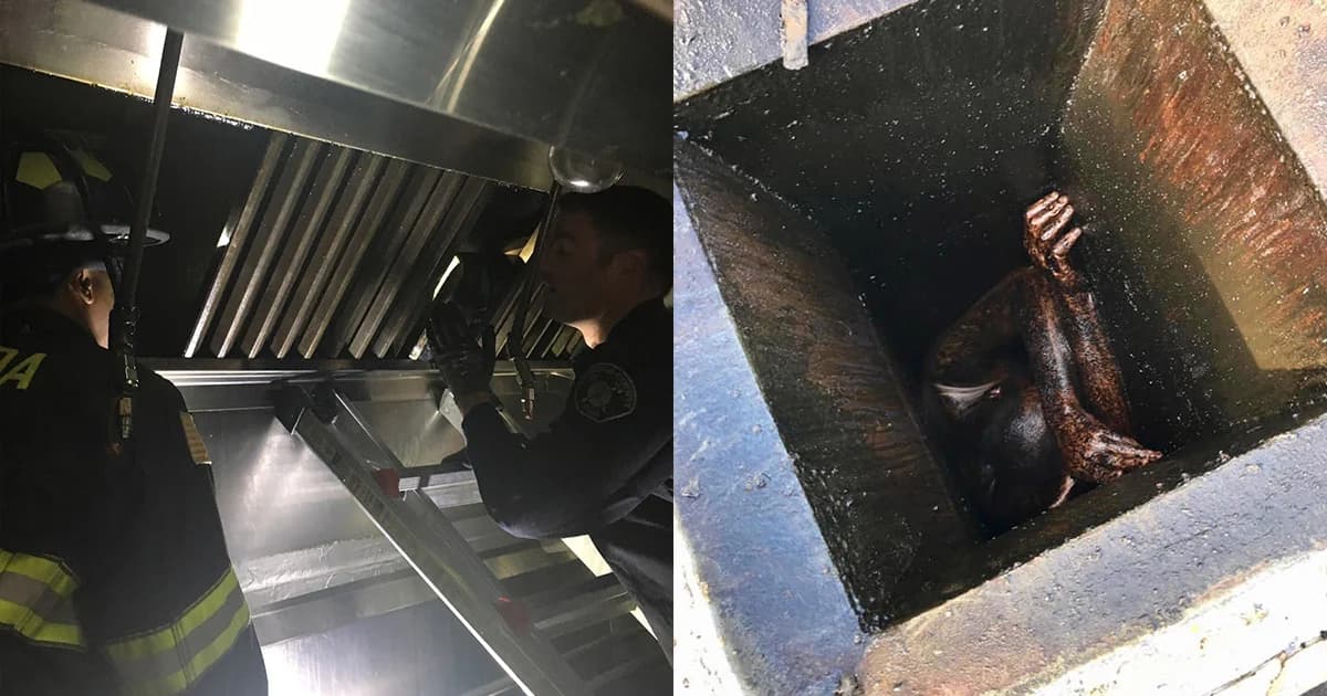 โจรติดอยู่ในท่อดูดควันร้านอาหาร 2 วัน เกือบตาย