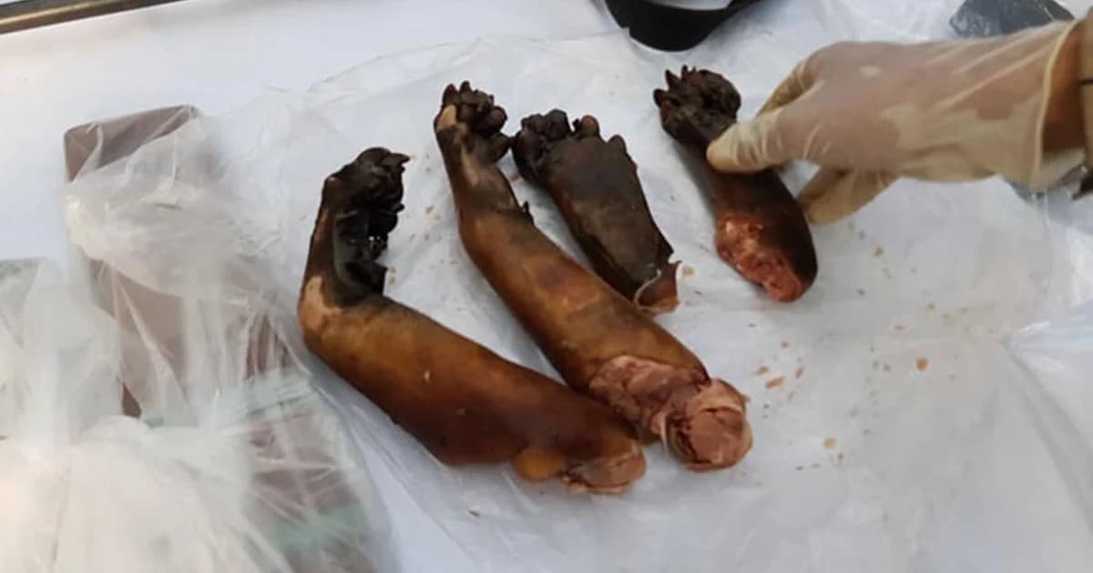 อัยการรับสำนวนคดีปลัดหมีขอแล้ว ครบถ้วนตามที่ให้สอบเพิ่ม