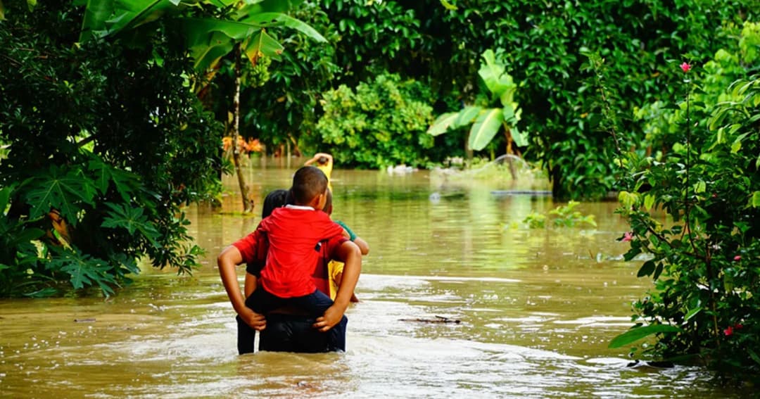 น้ำป่าหลากท่วมพื้นเศรษฐกิจ จ.นครศรีธรรมราช ขณะที่สุราษฎร์-พัทลุง กระทบหนักใน 7 อำเภอ