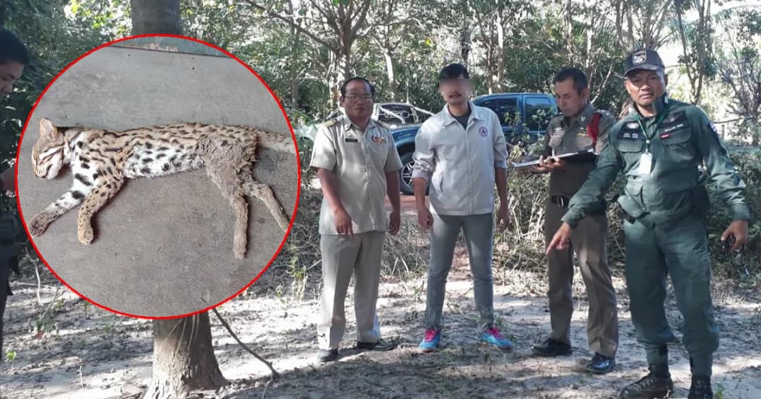 รวบแล้ว! ‘ผู้บ่าวกินแมว’ โชว์ภาพซากแมวดาวผ่านเฟซบุ๊ก เผยไม่ได้เป็นคนยิง