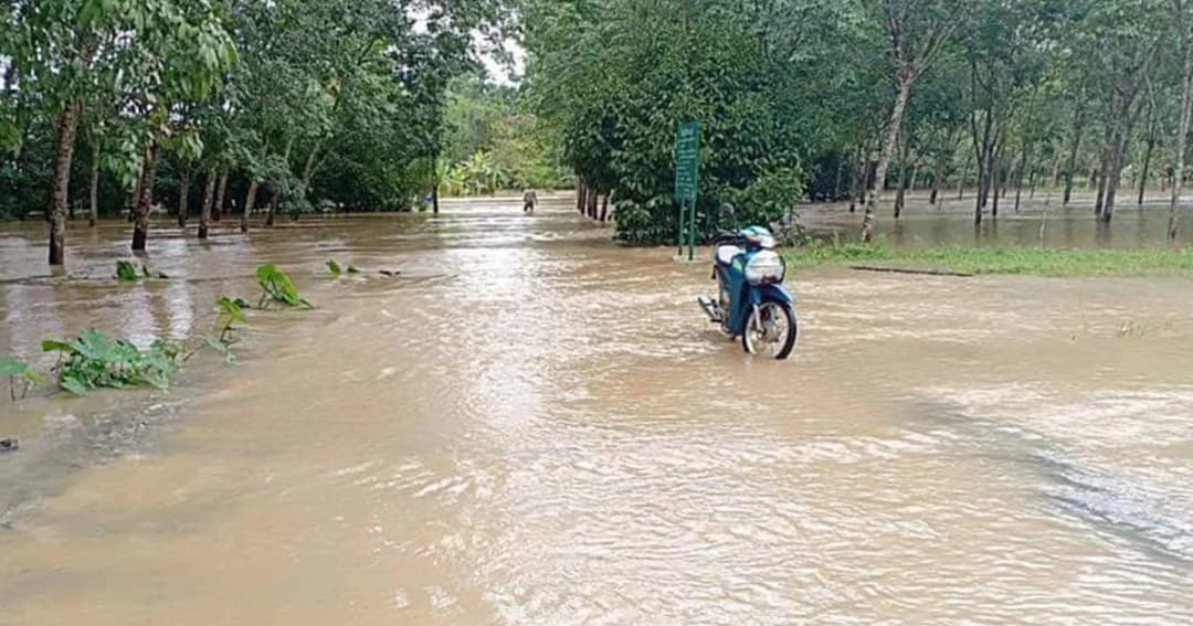 สทนช. ยังเฝ้าระวังน้ำท่วม 3 จว.นครศรีฯ–สุราษฏร์–ตรัง ฝนใต้ยังตกต่อเนื่อง 1-2 วันนี้