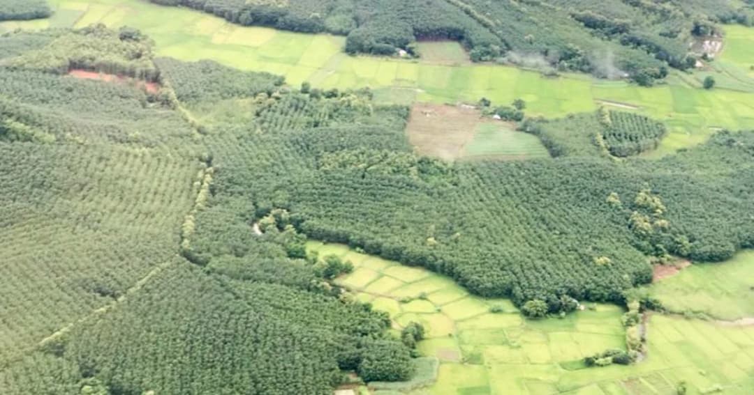 รัฐไฟเขียวจัดคนอยู่ในป่า 5.9 ล้านไร่ “ศศิน” หนุนแก้ปมจนท.ขัดแย้งชาวบ้าน