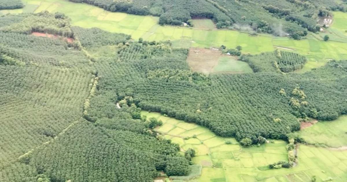 รัฐไฟเขียวจัดคนอยู่ในป่า 5.9 ล้านไร่ “ศศิน” หนุนแก้ปมจนท.ขัดแย้งชาวบ้าน