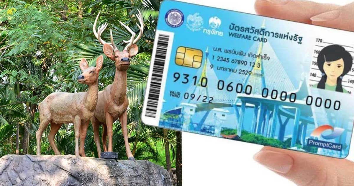 สิทธิพิเศษ ! ผู้ถือบัตรสวัสดิการแห่งรัฐ เข้าสวนสัตว์ฟรี ตั้งแต่ ม.ค.-ก.ค. 62
