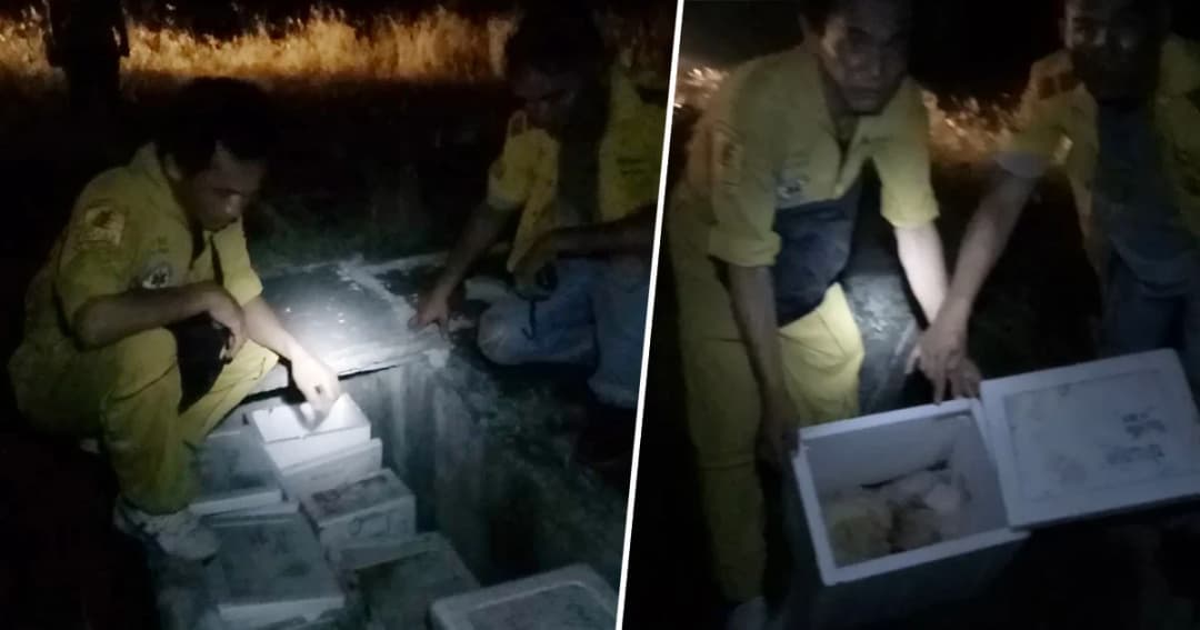 ศพทารกล่องหน! นับ 10 ศพ กลางป่าช้าสุสาน จ.ระยอง ชาวบ้านเชื่อหมอผีลักทำคุณไสย