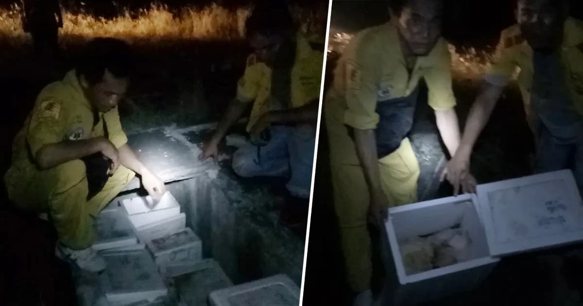 ศพทารกล่องหน! นับ 10 ศพ กลางป่าช้าสุสาน จ.ระยอง ชาวบ้านเชื่อหมอผีลักทำคุณไสย