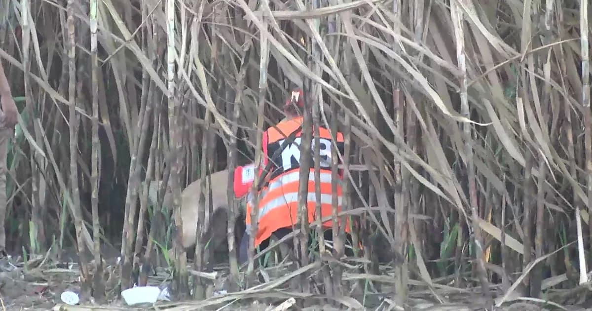 ยังไม่หมดหวัง! เจ้าหน้าที่ระดมกำลังหา ด.ช. 2 ขวบหายตัวในไร่อ้อย จ.สุพรรณบุรี