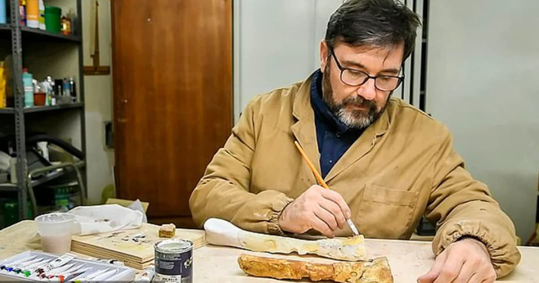 นักวิจัยสามารถระบุสายพันธุ์ไดโนเสาร์สำเร็จ หลังใช้เวลาศึกษา 20 ปี