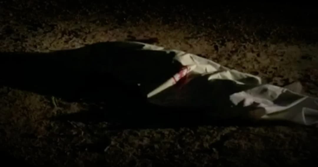 ตร.กระบี่ล่าตัว เจ้าภาพงานเลี้ยงปีใหม่ยิงเพื่อนบ้านดับ หลังเมาพูดไม่เข้าหู